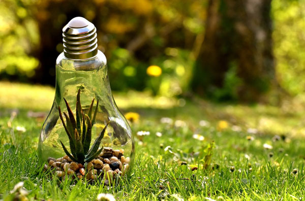 Ecological Impact Assessment